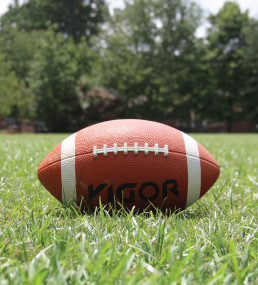 football in the grass